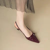 French Elegant Pointed Toe